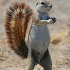 Avatar de l’utilisateur