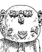 Avatar de l’utilisateur