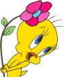 Avatar de l’utilisateur